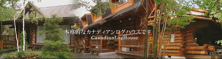 北軽井沢の本格的なカナディアンログハウス貸別荘